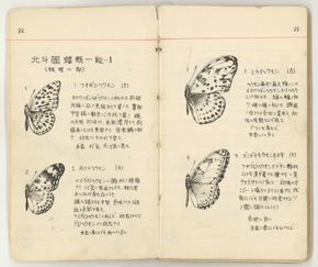 昆虫手帳